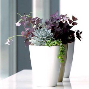 Matte Off White Stoneware Vase